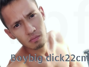 Boybig_dick22cm