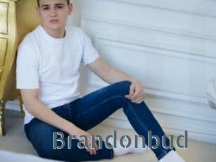 Brandonbud