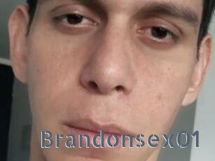 Brandonsex01