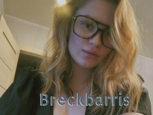 Breckbarris