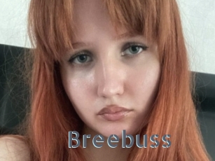 Breebuss