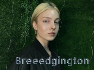 Breeedgington