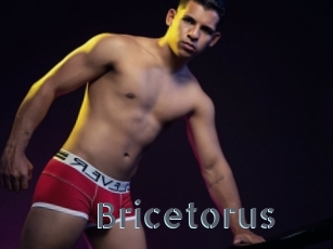 Bricetorus