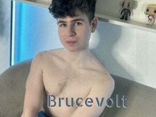 Brucevolt