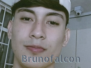 Brunofalcon