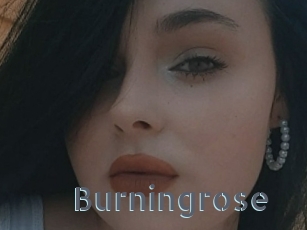 Burningrose