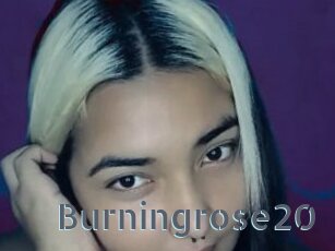 Burningrose20