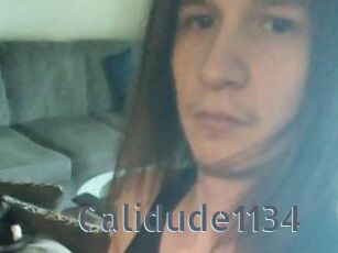 Calidude1134