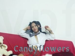 Candyflowers