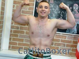 CarlitoBoxer