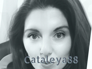 Cataleya88