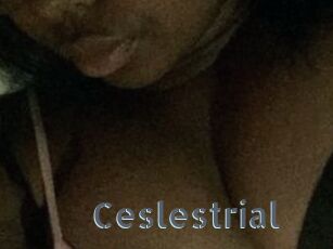 Ceslestrial