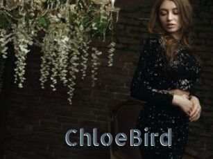 ChloeBird