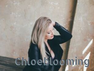 Chloeblooming