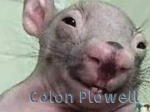 Colon_Plowell