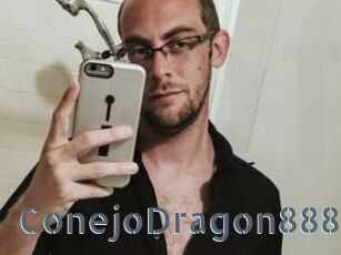 ConejoDragon8886