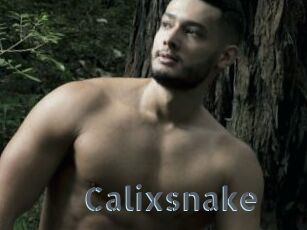 Calixsnake