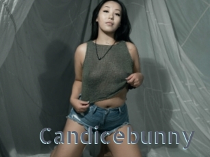 Candicebunny