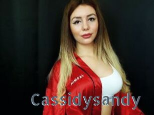 Cassidysandy