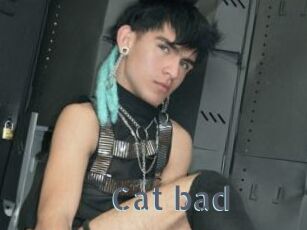 Cat_bad