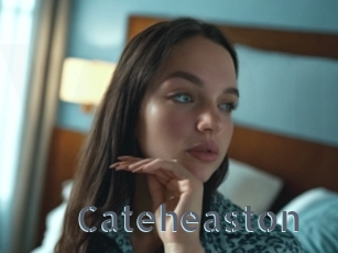 Cateheaston