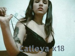 Catleya_x18