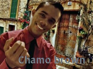 Chamo_brown