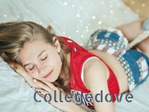 Collegedove