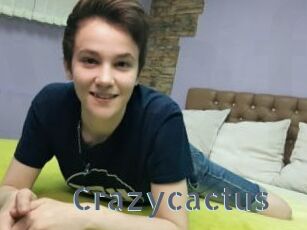 Crazycactus