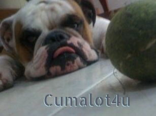 Cumalot4u