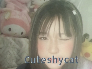 Cuteshycat