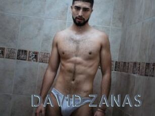 DAVID_ZANAS