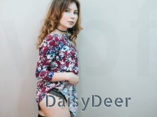 DaisyDeer