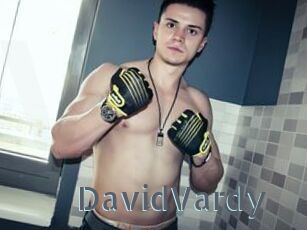 DavidVardy