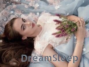 DreamSleep