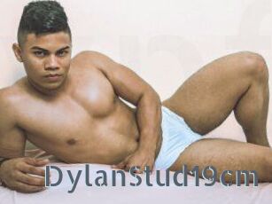 DylanStud19cm