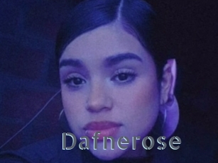 Dafnerose