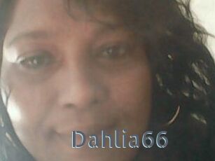 Dahlia66