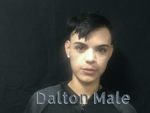 Dalton_Male