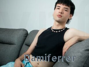 Damiferrer