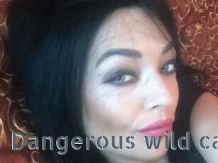 Dangerous_wild_cat