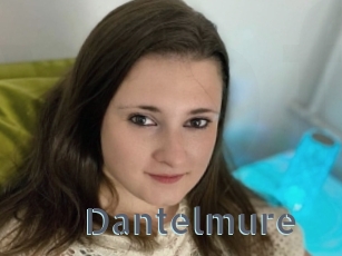 Dantelmure