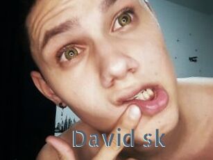 David_sk