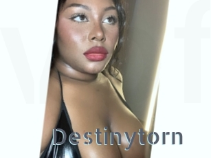 Destinytorn