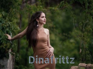 Dinafrittz