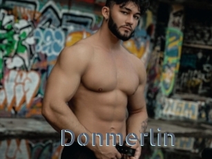 Donmerlin