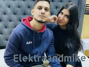 Elektraandmike