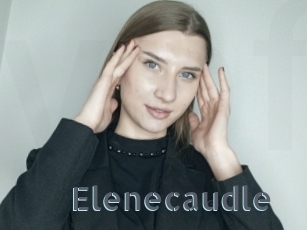 Elenecaudle