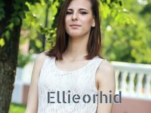 Ellieorhid