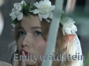 Emilywaldstein